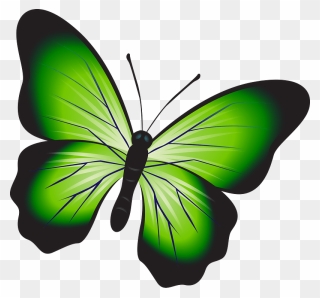 Green Butterfly Clipart - Fluturi Png Transparent Png