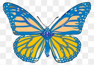 Blue Butterfly Clipart - Monarch Butterfly White Background - Png Download