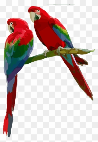 Parrots Sitting On A Branch Clipart - Scarlet Macaw Png Transparent Png