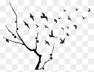 Bird Flight Flock Clip Art - Png Download