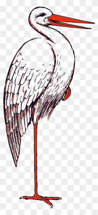 Stork Bird Svg Clip Arts - Stork Clip Art - Png Download