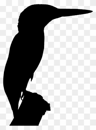 Silhouette Belted Kingfisher Clip Art - Kingfisher Silhouette - Png Download