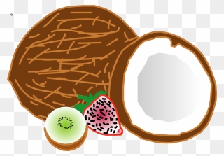 Top Coconut Producing Countries Clipart
