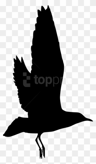 Download Free Png Free Bird Silhouette Clip Art Download Pinclipart