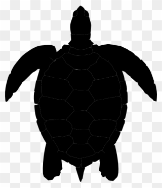 Transparent Turtle Silhouette Png - Sea Turtle Silhouette Drawing Clipart