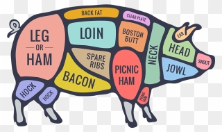Cooking Your Food To - Butcher Pork Cuts Diagram Clipart