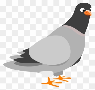 Pigeon Clip Art - Png Download