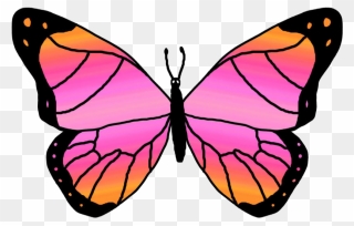 Free Butterfly Clip Art Graphics Clipart Free Clipart - Png Download