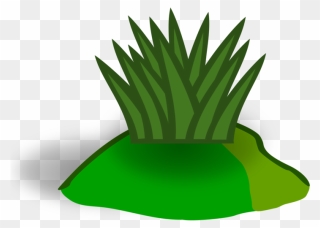 Plant,leaf,flowerpot - Clipart White Grass Png Transparent Png