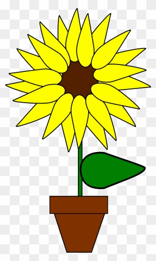 Sunflower In Pot Clipart - Png Download