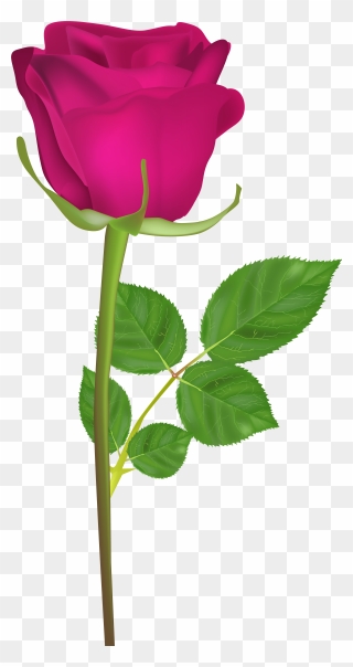Flower Clipart With Stem Image Freeuse Download Rose - Gulab Ka Phool Hd - Png Download
