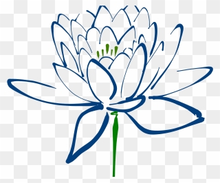 Lotus Flower Png Draw Clipart