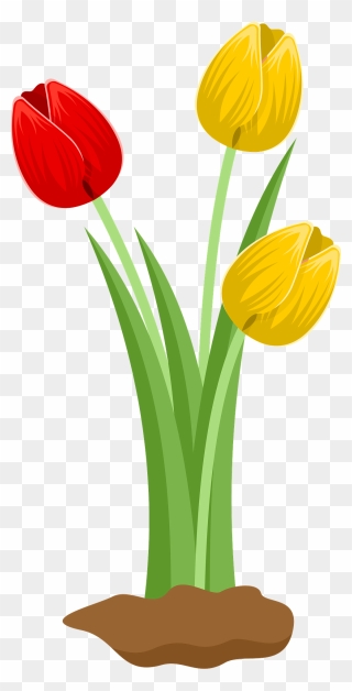 Flower Tulip Clipart - Png Download