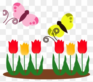 Butterfly Tulip Clipart - Png Download