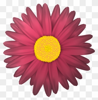 Flower Clip Art - Png Download