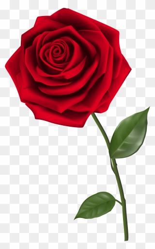 Rose Clip Art - Transparent Background Red Rose Png