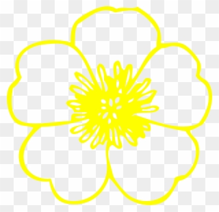 Daffodil Clipart Buttercup Flower - Buttercup Flower Png Clipart Transparent Png