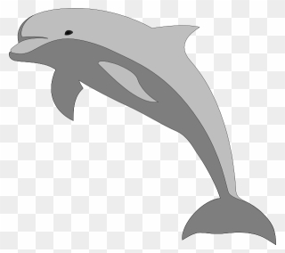 Transparent Flippers Clipart - Jumping Dolphin Clipart - Png Download