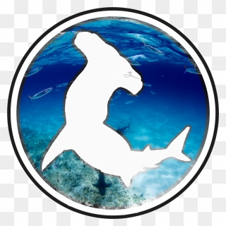 Transparent Shark - Shotokan Tiger Clipart