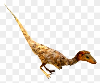 Feathered Dinosaur Clipart - Realistic Transparent Dinosaur Clipart - Png Download