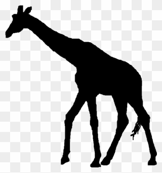Silhouette Clip Art - Giraffes Silhouette No Background - Png Download