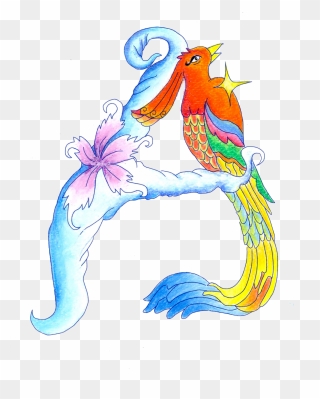 Ibong Adarna Picture Drawing Clipart