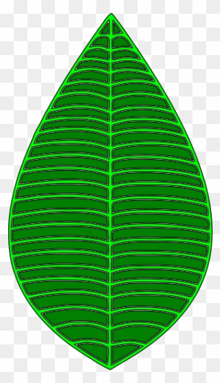 Green Leaf - Illustration Clipart
