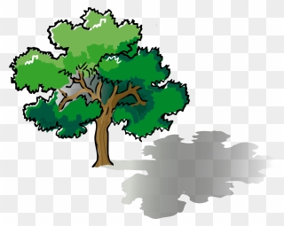 Tree Drawing With Color Clipart