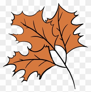 How To Draw Fall Oak - Easy To Draw Fall Clipart