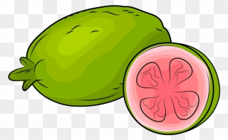 Fresh Guavas Clipart - Guavas Clipart - Png Download