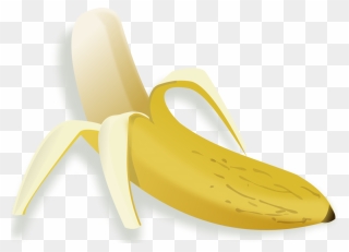 Food,banana Family,fruit - Banana Descascada Png Clipart
