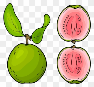Whole Guava And A Half Clipart - Png Download