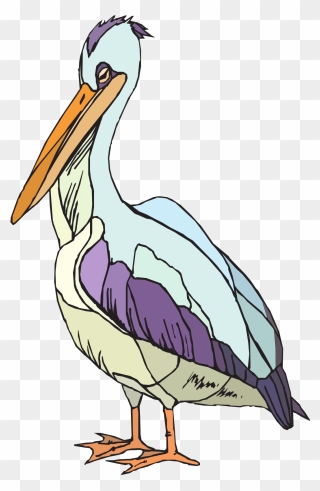 Colorful Pelican Png Images - Clip Art Transparent Png
