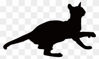 Black Cat Kitten Whiskers Around - Cat Yawns Clipart