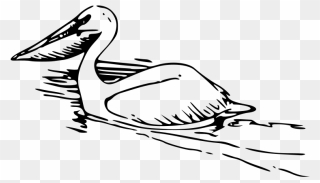 Pelican 2 Png Images Clipart