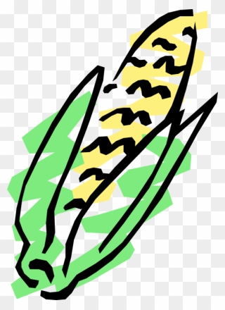 Vector Illustration Of Corn On The Cob Grain Plant Clipart