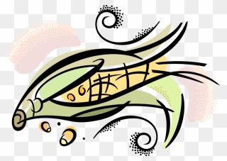 Vector Illustration Of Corn Husk Cob Of Corn Maize Clipart