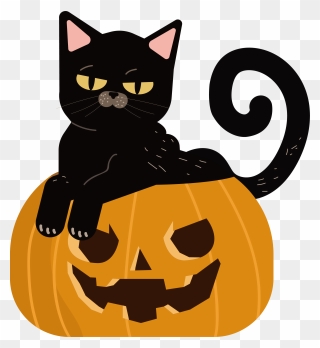 The Cat Sitting In The Pumpkin Png Download - Clipart Cat Sitting In Pumpkin Transparent Png