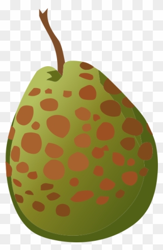Guava Spotted - Food Clipart
