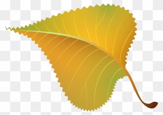 Fall Yellow Leaf Png Clipart Image - Mountain Bike Wheel Design Transparent Png