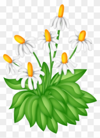 Drawing Flowering Bush Clipart Free - Png Download