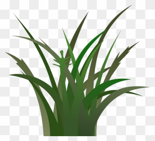 Animated Picture Of Grass Clipart