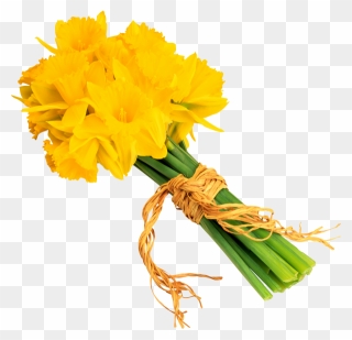 Blumenstrauß Aus Narzissen - Daffodil Clipart