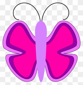 Clipart Butterfly - Photo - Png Download