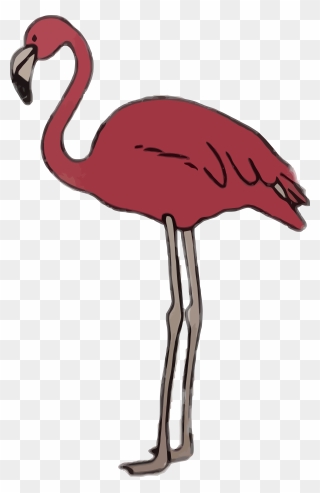 Flamingo Sommer Rosa Greater Flamingo Clipart - Greater Flamingo - Png Download