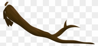 Branche Bois Png Clipart