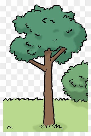 Sie Sehen Ein Bild Von Einem Baum - Cartoon Clipart