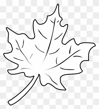 Fall Leaf Outline Png Clipart