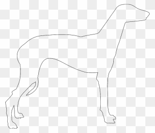 Greyhound White Silhouette Clipart