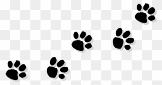 Cat Paw Bulldog Puppy Clip Art - Transparent Animal Paw Prints - Png Download